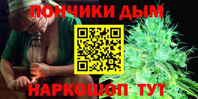 МДПВ Славгород