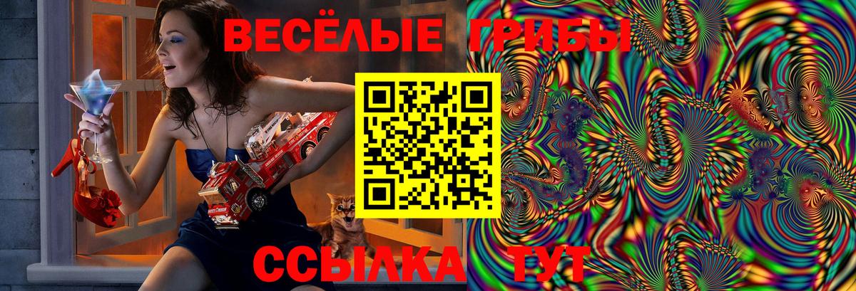 Псилоцибиновые грибы прущие грибы Азнакаево